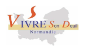vsd normandie
