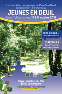 programme vsd congres 2016